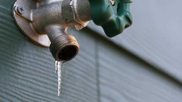Best Affordable Plumber Near Me  in Terra Bella, CA